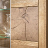 Фото вставки витрины Szynaka VELLE 12 в виде поперечного среза дерева